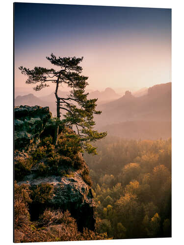 Aluminium print Lonely Tree at Sunrise