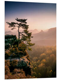 Print på skumplade Lonely Tree at Sunrise