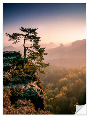 Selvklebende plakat Lonely Tree at Sunrise