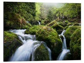 Aluminium print Wild Creek in German Black Forest