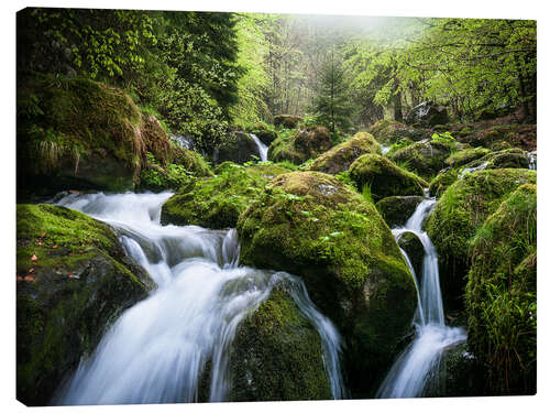 Canvas-taulu Wild Creek in German Black Forest