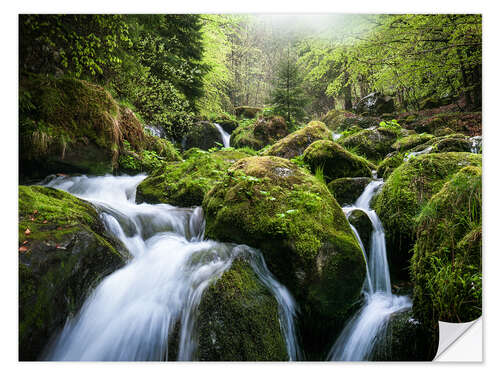 Selvklæbende plakat Wild Creek in German Black Forest