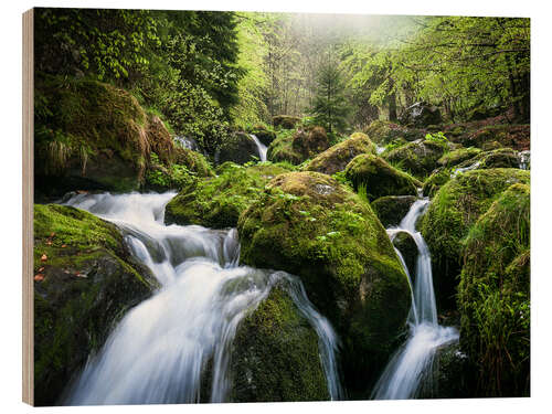 Wood print Wild Creek in German Black Forest