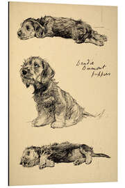 Magnettafel Dandie Dinmont Welpen