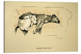 Magnettafel Gravitation