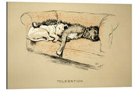 Magnettafel Toleranz