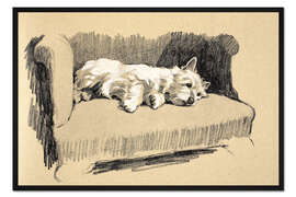 Gerahmter Kunstdruck West Highlander