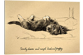 Gallery print Rough Dachshund Puppy