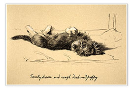 Print  Rough Dachshund Puppy - Cecil Charles Windsor Aldin