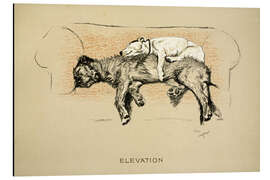 Magnettafel Erhebung