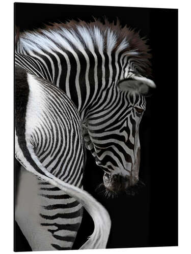 Obraz na aluminium african stripes II