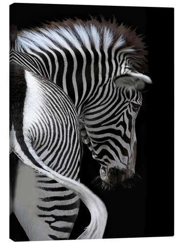 Canvas print african stripes II