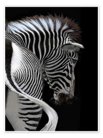 Plakat  african stripes II - Joachim G. Pinkawa