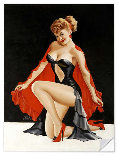 Selvklebende plakat Pin up illustration