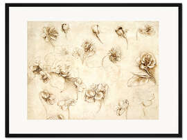 Gerahmter Kunstdruck Studium der Blumen von Grassartigen Pflanzen