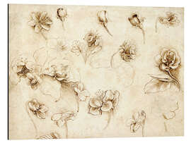 Magnettafel Studium der Blumen von Grassartigen Pflanzen