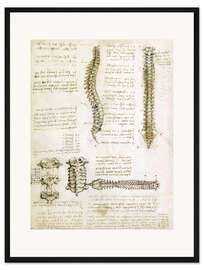 Gerahmter Kunstdruck Die Wirbelsäule