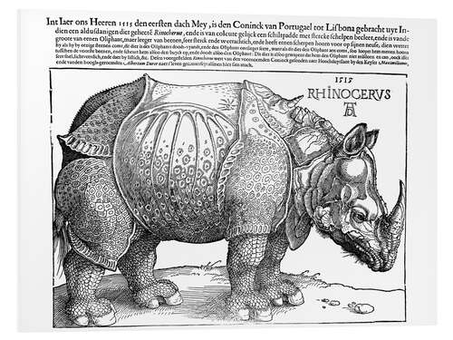 Foam board print The Rhinoceros (Dutch)