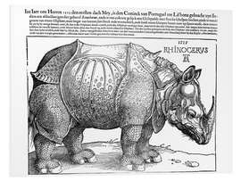 Foam board print The Rhinoceros (Dutch)