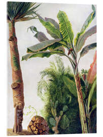 Acrylic print Banana Tree