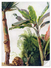 Muursticker Banana Tree