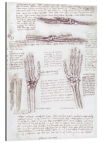 Cuadro de aluminio Estudio de la mano