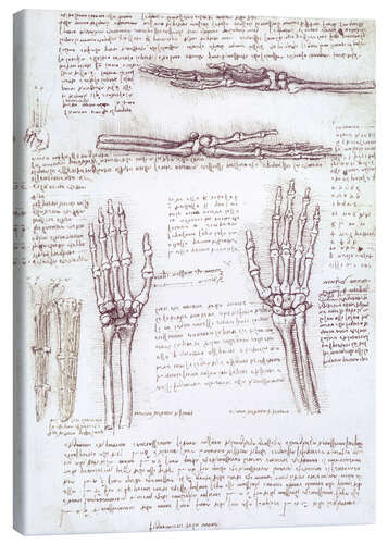 Stampa su tela Studio di una mano