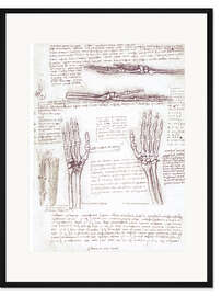 Gerahmter Kunstdruck Studie einer Hand