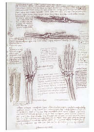 Tableau en plexi-alu Étude anatomique d&#039;une main