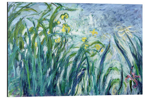 Aluminium print Yellow and Purple Irises