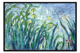 Gerahmter Kunstdruck Gelbe und purpurrote Iris