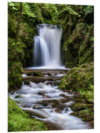 Foam board print Waterfall of Geroldsau, Black Forest