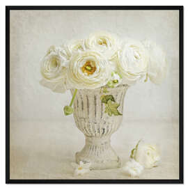 Gerahmter Kunstdruck weisse Ranunkeln