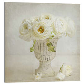 Gallery print white ranunculus