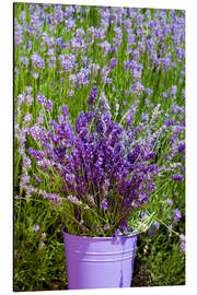 Aluminium print Lavender in metal bucket