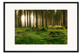 Gerahmter Kunstdruck Lichtblick