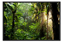 Gerahmter Kunstdruck Sonnenstrahlen im Dschungel