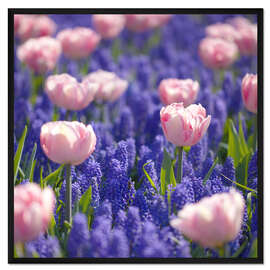 Gerahmter Kunstdruck Tulpenwiese