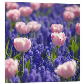 Foam board print meadow of tulips