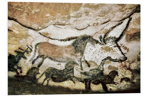 PVC-tavla Cave paintings in the cave of Lascaux