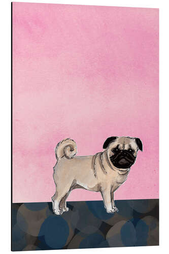 Aluminium print Pug dog