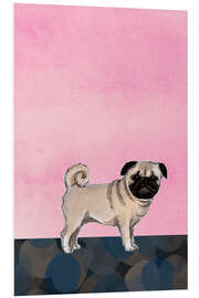 Foam board print Pug dog