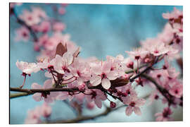 Tableau en aluminium Sakura au printemps