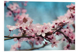 Foam board print Sakura Spring