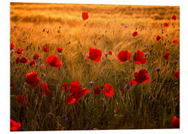 PVC print Poppies