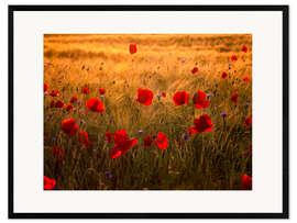 Kehystetty taidepainatus Poppies
