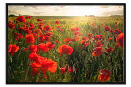 Gerahmter Kunstdruck Last Summer