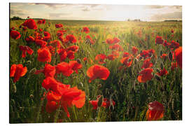 Magnettafel Last Summer