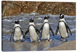 Quadro em tela  four cool waddling penguins - Jürgen Ritterbach
