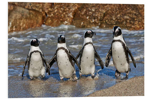 Foam board print four cool waddling penguins